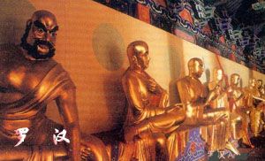 城区天气预报15天查询