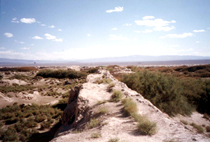 酒泉锁阳城天气 酒泉锁阳城天气