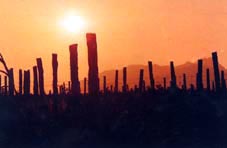 青岛八关山天气 青岛八关山天气