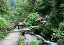 东安舜皇山国家森林公园天气 东安舜皇山国家森林公园天气